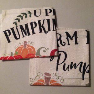 Set of 2 Fall pillow covers. 17" square.